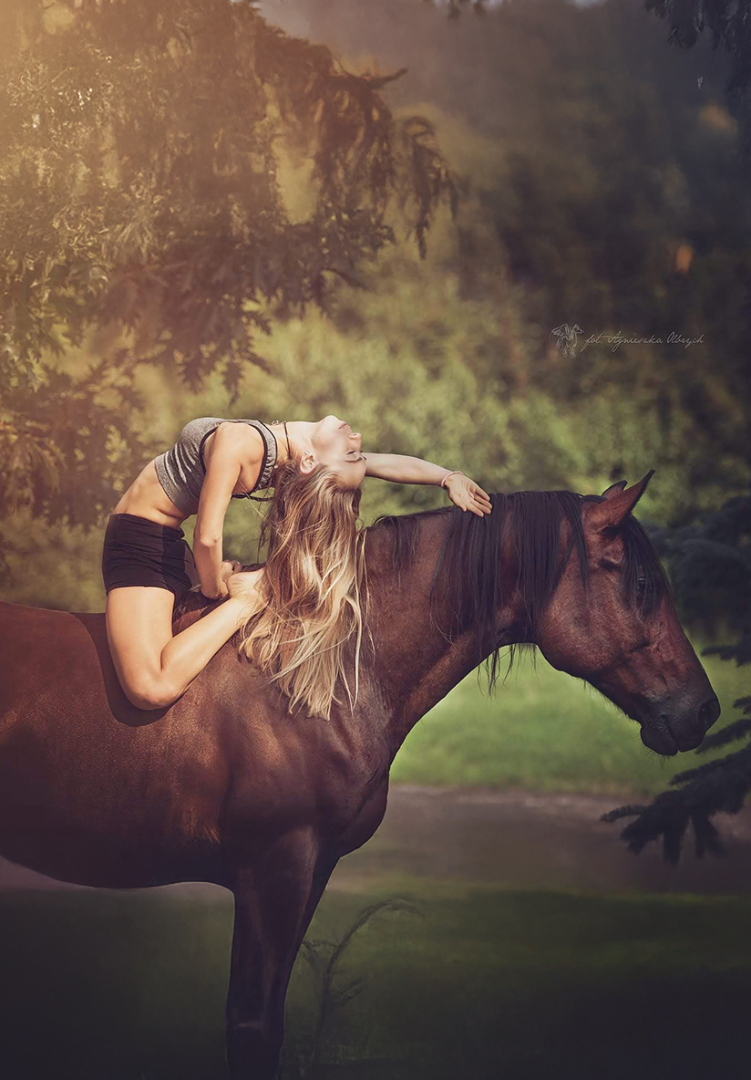 THE-FOLLOWING-PICTURES-IMG_03